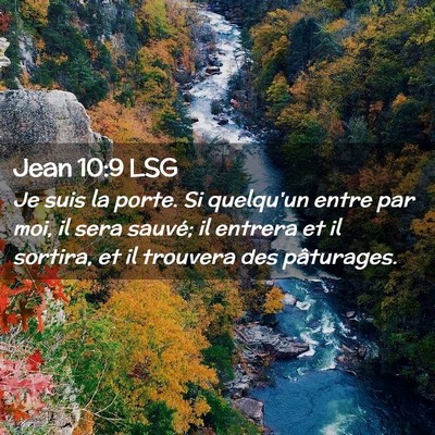Picture 02 - Jean 10:9 LSG - Je suis la porte. Si quelqu'un entre par moi, il - Bible Verse Picture