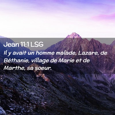 Picture 02 - Jean 11:1 LSG - Il y avait un homme malade, Lazare, de Béthanie, - Bible Verse Picture