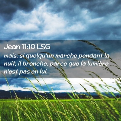 Picture 02 - Jean 11:10 LSG - mais, si quelqu'un marche pendant la nuit, il - Bible Verse Picture