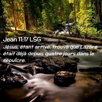 Picture 02 - Jean 11:17 LSG - Jésus, étant arrivé, trouva que Lazare était - Bible Verse Picture