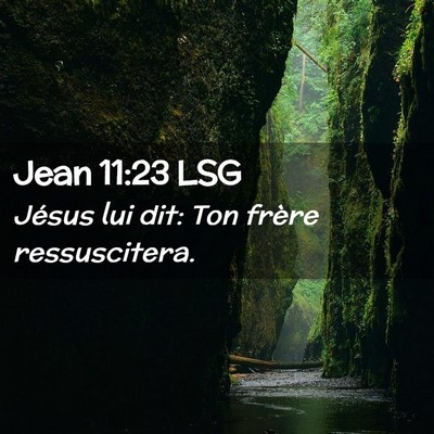 Picture 02 - Jean 11:23 LSG - Jésus lui dit: Ton frère - Bible Verse Picture