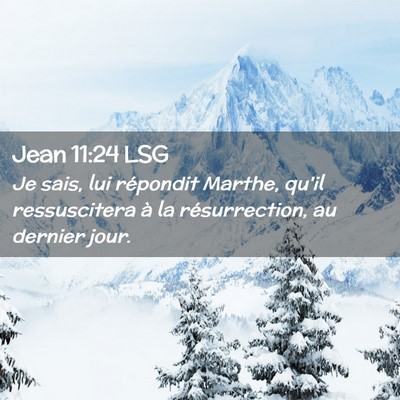 Picture 02 - Jean 11:24 LSG - Je sais, lui répondit Marthe, qu'il ressuscitera - Bible Verse Picture