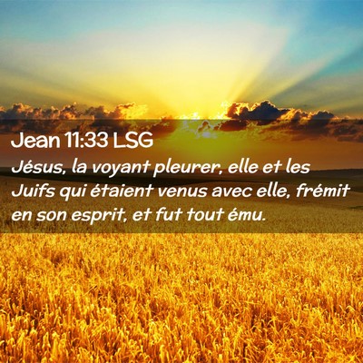 Picture 02 - Jean 11:33 LSG - Jésus, la voyant pleurer, elle et les Juifs qui - Bible Verse Picture