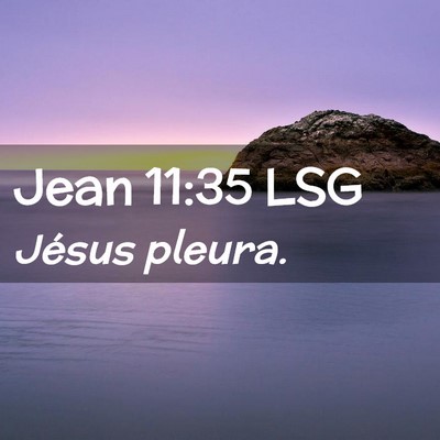 Picture 02 - Jean 11:35 LSG - Jésus - Bible Verse Picture