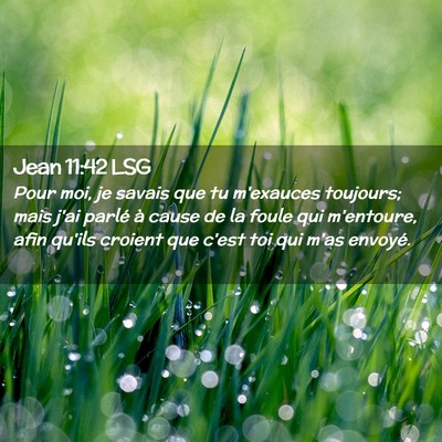 Picture 02 - Jean 11:42 LSG - Pour moi, je savais que tu m'exauces toujours; - Bible Verse Picture