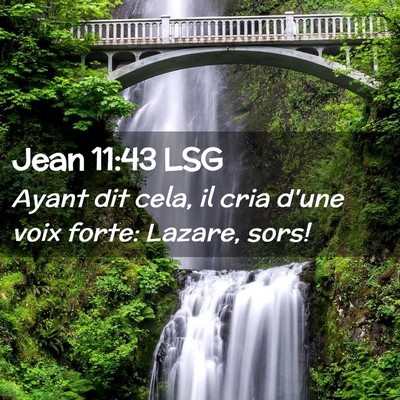 Picture 02 - Jean 11:43 LSG - Ayant dit cela, il cria d'une voix forte: Lazare, - Bible Verse Picture