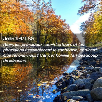 Picture 02 - Jean 11:47 LSG - Alors les principaux sacrificateurs et les - Bible Verse Picture