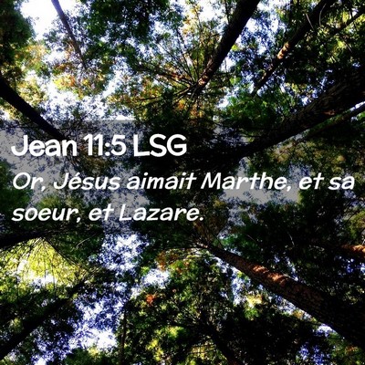 Picture 02 - Jean 11:5 LSG - Or, Jésus aimait Marthe, et sa soeur, et - Bible Verse Picture