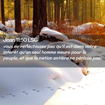 Picture 02 - Jean 11:50 LSG - vous ne réfléchissez pas qu'il est dans votre - Bible Verse Picture