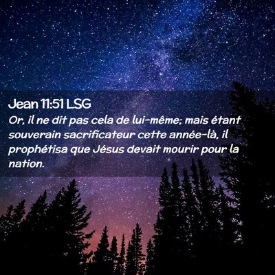 Picture 02 - Jean 11:51 LSG - Or, il ne dit pas cela de lui-même; mais étant - Bible Verse Picture