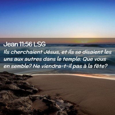 Picture 02 - Jean 11:56 LSG - Ils cherchaient Jésus, et ils se disaient les - Bible Verse Picture