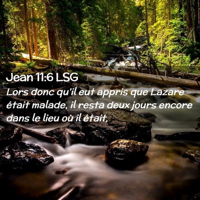 Picture 02 - Jean 11:6 LSG - Lors donc qu'il eut appris que Lazare était - Bible Verse Picture