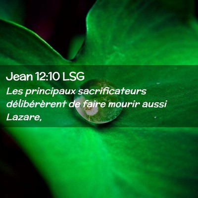 Picture 02 - Jean 12:10 LSG - Les principaux sacrificateurs délibérèrent de - Bible Verse Picture