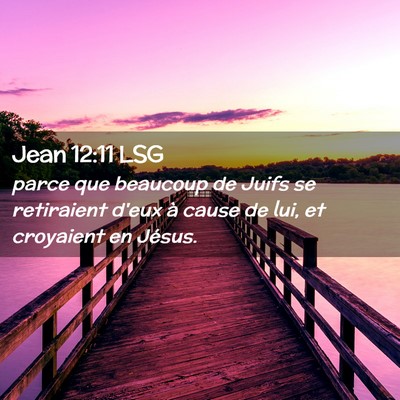 Picture 02 - Jean 12:11 LSG - parce que beaucoup de Juifs se retiraient d'eux - Bible Verse Picture