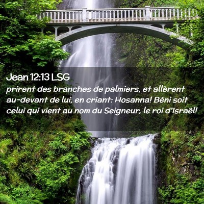 Picture 02 - Jean 12:13 LSG - prirent des branches de palmiers, et allèrent - Bible Verse Picture