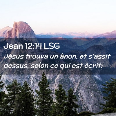 Picture 02 - Jean 12:14 LSG - Jésus trouva un ânon, et s'assit dessus, selon - Bible Verse Picture