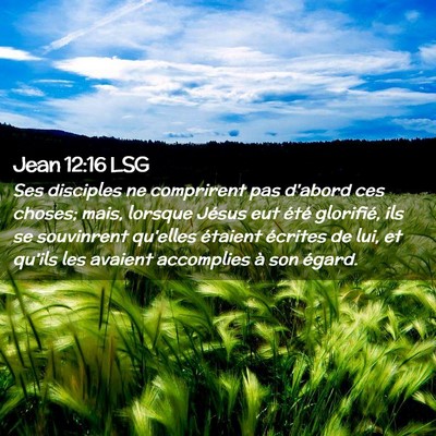 Picture 02 - Jean 12:16 LSG - Ses disciples ne comprirent pas d'abord ces - Bible Verse Picture