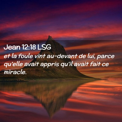 Picture 02 - Jean 12:18 LSG - et la foule vint au-devant de lui, parce qu'elle - Bible Verse Picture