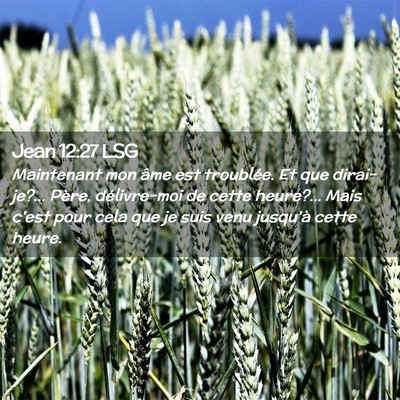 Picture 02 - Jean 12:27 LSG - Maintenant mon âme est troublée. Et que - Bible Verse Picture