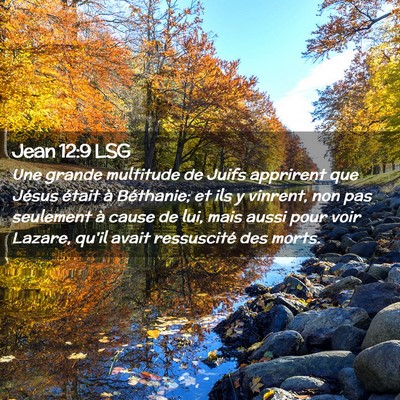 Picture 02 - Jean 12:9 LSG - Une grande multitude de Juifs apprirent que - Bible Verse Picture
