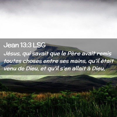 Picture 02 - Jean 13:3 LSG - Jésus, qui savait que le Père avait remis - Bible Verse Picture
