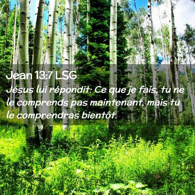 Picture 02 - Jean 13:7 LSG - Jésus lui répondit: Ce que je fais, tu ne le - Bible Verse Picture