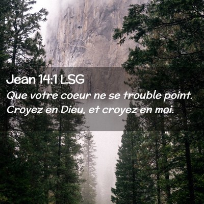 Picture 02 - Jean 14:1 LSG - Que votre coeur ne se trouble point. Croyez en - Bible Verse Picture