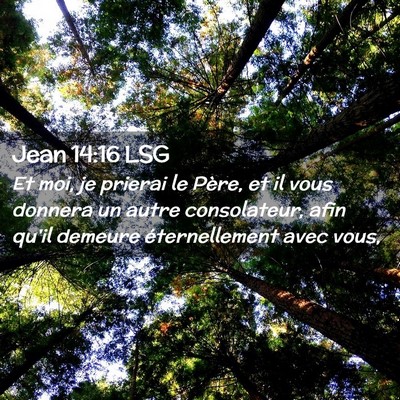 Picture 02 - Jean 14:16 LSG - Et moi, je prierai le Père, et il vous donnera - Bible Verse Picture