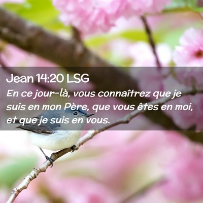 Picture 02 - Jean 14:20 LSG - En ce jour-là, vous connaîtrez que je suis en - Bible Verse Picture