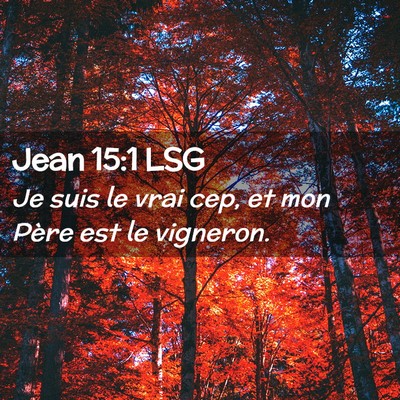 Picture 02 - Jean 15:1 LSG - Je suis le vrai cep, et mon Père est le - Bible Verse Picture