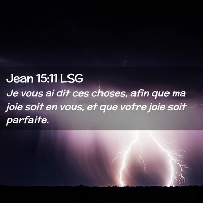 Picture 02 - Jean 15:11 LSG - Je vous ai dit ces choses, afin que ma joie soit - Bible Verse Picture