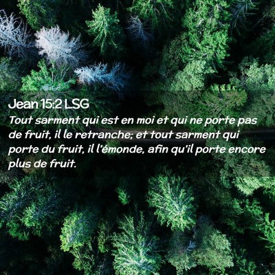 Picture 02 - Jean 15:2 LSG - Tout sarment qui est en moi et qui ne porte pas - Bible Verse Picture