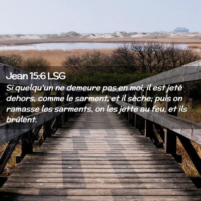 Picture 02 - Jean 15:6 LSG - Si quelqu'un ne demeure pas en moi, il est jeté - Bible Verse Picture