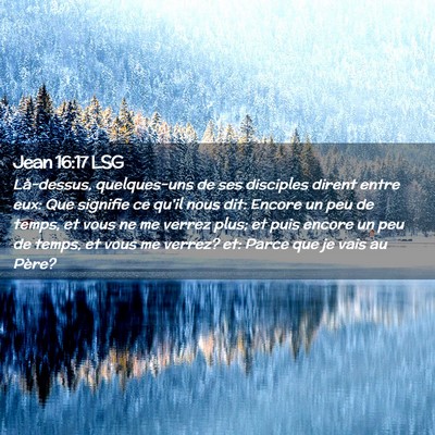 Picture 02 - Jean 16:17 LSG - Là-dessus, quelques-uns de ses disciples dirent - Bible Verse Picture