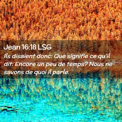 Picture 02 - Jean 16:18 LSG - Ils disaient donc: Que signifie ce qu'il dit: - Bible Verse Picture