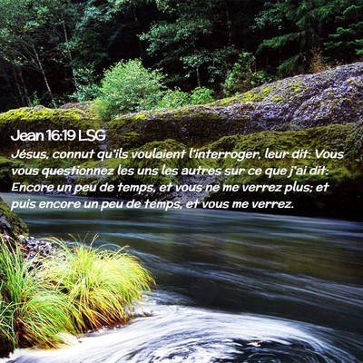Picture 02 - Jean 16:19 LSG - Jésus, connut qu'ils voulaient l'interroger, - Bible Verse Picture