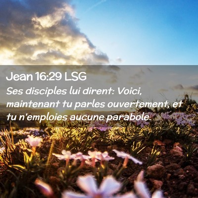 Picture 02 - Jean 16:29 LSG - Ses disciples lui dirent: Voici, maintenant tu - Bible Verse Picture