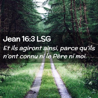 Picture 02 - Jean 16:3 LSG - Et ils agiront ainsi, parce qu'ils n'ont connu ni - Bible Verse Picture