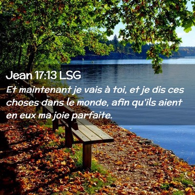 Picture 02 - Jean 17:13 LSG - Et maintenant je vais à toi, et je dis ces - Bible Verse Picture