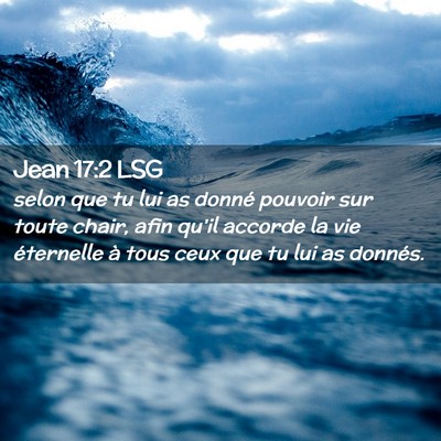 Picture 02 - Jean 17:2 LSG - selon que tu lui as donné pouvoir sur toute - Bible Verse Picture