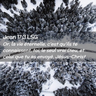 Picture 02 - Jean 17:3 LSG - Or, la vie éternelle, c'est qu'ils te - Bible Verse Picture
