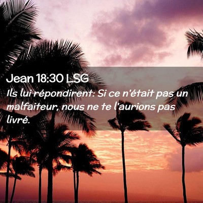 Picture 02 - Jean 18:30 LSG - Ils lui répondirent: Si ce n'était pas un - Bible Verse Picture