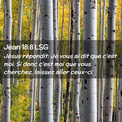 Picture 02 - Jean 18:8 LSG - Jésus répondit: Je vous ai dit que c'est moi. - Bible Verse Picture
