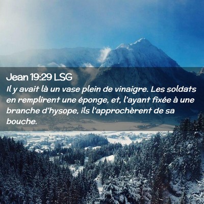 Picture 02 - Jean 19:29 LSG - Il y avait là un vase plein de vinaigre. Les - Bible Verse Picture
