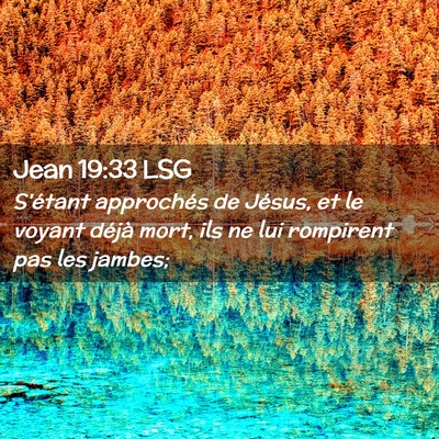 Picture 02 - Jean 19:33 LSG - S'étant approchés de Jésus, et le voyant - Bible Verse Picture