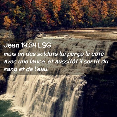 Picture 02 - Jean 19:34 LSG - mais un des soldats lui perça le côté avec une - Bible Verse Picture