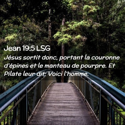 Picture 02 - Jean 19:5 LSG - Jésus sortit donc, portant la couronne d'épines - Bible Verse Picture