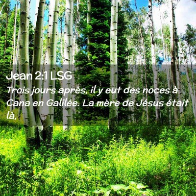 Picture 02 - Jean 2:1 LSG - Trois jours après, il y eut des noces à Cana en - Bible Verse Picture