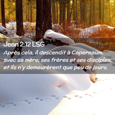 Picture 02 - Jean 2:12 LSG - Après cela, il descendit à Capernaüm, avec sa - Bible Verse Picture