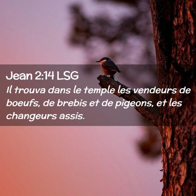 Picture 02 - Jean 2:14 LSG - Il trouva dans le temple les vendeurs de boeufs, - Bible Verse Picture